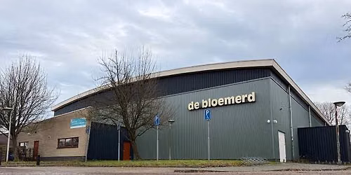 VLOOIENMARKT | Leiderdorp — rommel-en-vlooienmarkt in Leiderdorp